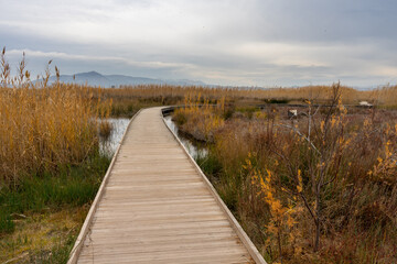 View of a wooden walkway in the natural reserve of plants and birds La Marjal els Moros in the town of Puzol in Spain