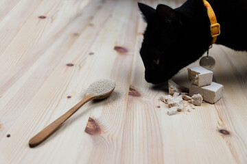 Black cat smelling different types of yeast. Dry yeast in a wooden spoon and fresh bakers yeast in cubes and broken pieces. Baking and making bread and pastry, natural ingredients to rise flour