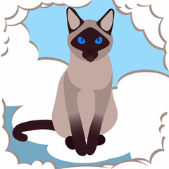 Siamese cat on the background of clouds.