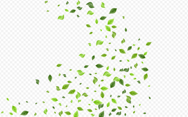 Forest Greenery Blur Vector Transparent