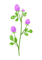 Illustration of stylized clover.