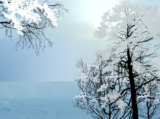 white trees in snow winter illustration