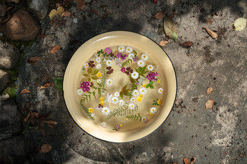 Flowers and herbs floating in a bowl on a natural background. Beautiful garden scene