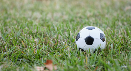 soccer ball on green grass