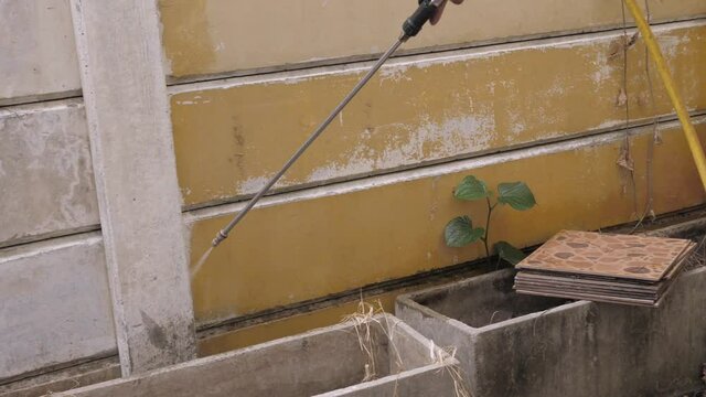 Chemical spray To get rid of insects, termites, or reptiles. House care The company accepts termite control.