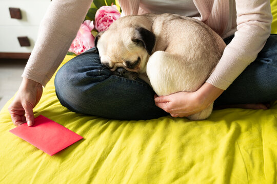 Mujer con perro en el regazo que acaba de recibir un ramo de bonitas flores y una tarjeta de felicitaci&oacute;n 