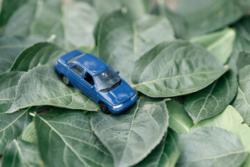 a blue toy car is located on the green leaves of a tree