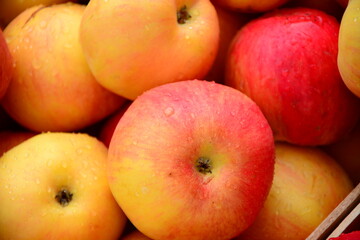 apples in the market