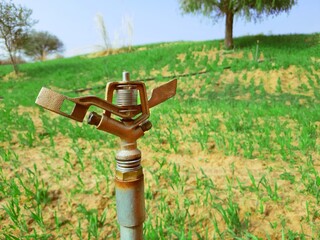 metallic sprinkler closed or without water agricultural irrigation concept