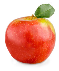 Red apple isolated on the white background
