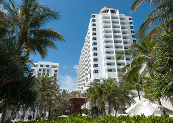 Fototapeta na wymiar Miami Beach Palms And A Fountain