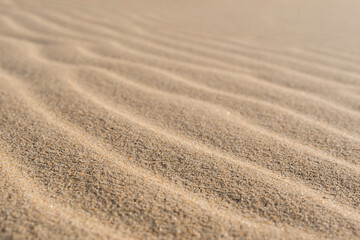 background beach sand forming dunes