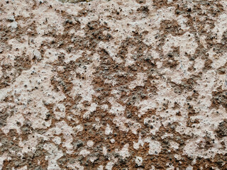 old wall cladding plaster brown background