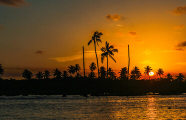 Pôr do Sol Maracaípe / PE