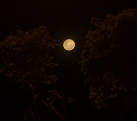 Lua cheia