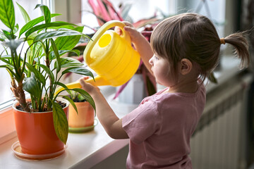 A little girl is watering houseplants on the windowsill from a watering can. Selective focus.
