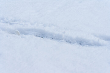Fototapeta na wymiar snow on the ground