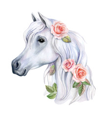 Portrait of white horse with flowers, roses isolated on white background. Watercolor. Illustration. Tamplate