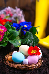 Easter colorful eggs in the garden. Gardening tools and flowers on the garden terrace. Primrose of different bright colors in the ground. Gardening concept. Banner . Copy space