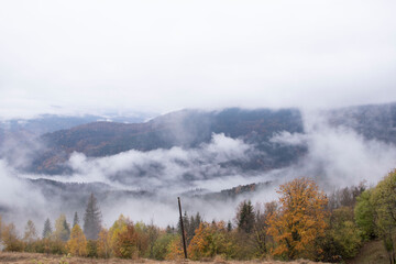 Autumn landscape of forest trees and clouds in the fog during a day hike in the Carpathian mountains