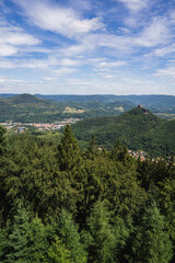 Fototapeta premium View over the Palatinate Forest from the top of the Rehbergturm