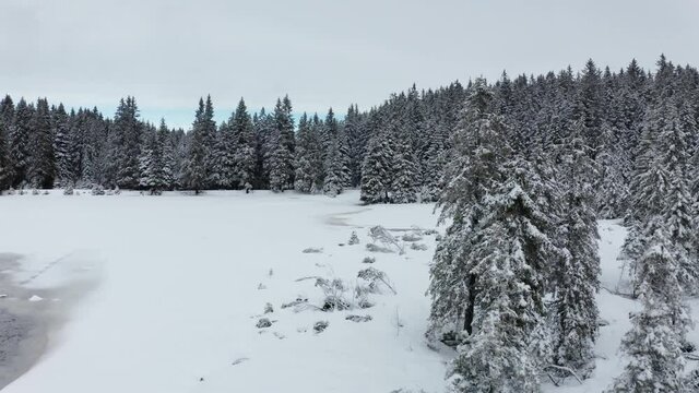 Frozen lake in winter, woods covered in fresch snow, aerial view, Crno jezero, Black lake, Pohorje, Slovenia