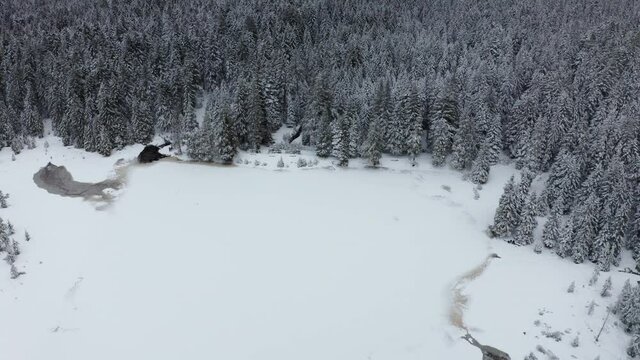 Frozen lake in winter, woods covered in fresch snow, aerial view, Crno jezero, Black lake, Pohorje, Slovenia