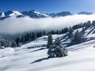 Obraz premium Winter landscape of the Schamserberg and Piz Beverin nature park.