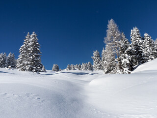 Winter landscape of the Schamserberg and Piz Beverin nature park.