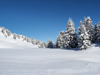 Winter landscape of the Schamserberg and Piz Beverin nature park.