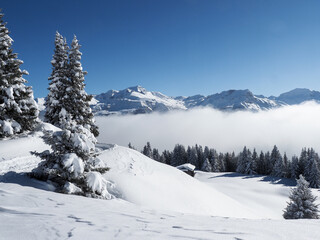 Fototapeta na wymiar Winter landscape of the Schamserberg and Piz Beverin nature park.