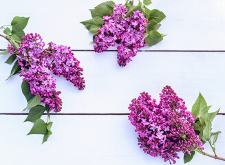 Lilac flowers on white wooden background. Spring flowers. Top view, flat lay, copy space