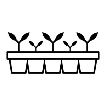seedlings growing in tray clip art preview