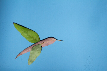 Troquilino hecho con hojas sobre fondo azul © vero