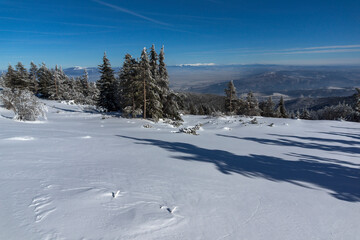 Winter view of Vitosha Mountain, Sofia City Region, Bulgaria