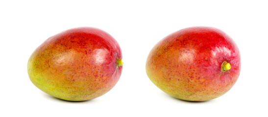 fresh mango fruit  isolated on white background