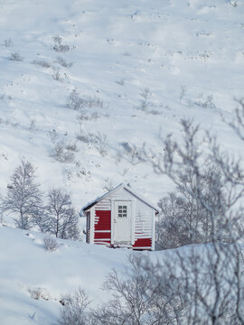 Red cabin