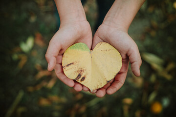 Corazon de hoja y manos