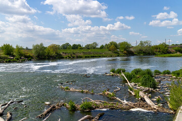 View of healthy nature on the river Mulde taken from the Mulderadweg cycle path between the cities of Grimma and Wurzen, Germany, Europe
