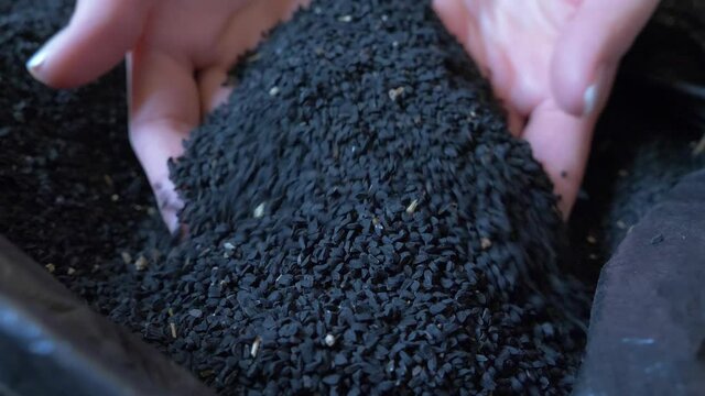 Black cumin seeds close up. Healthy eating