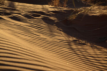 Sanddüne im Abendrot