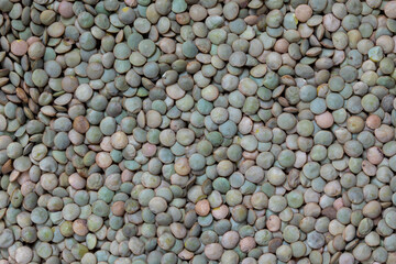 Raw green lentil background pattern and texture