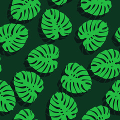 Vector seamless pattern with monstera leafs
