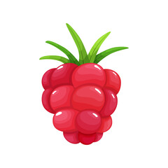 Colorful fruit. Raspberry icon. Vector illustration berry and fruit in flat cartoon style, isolated on white. Healthy lifestyle or vegetarian food concept © the8monkey