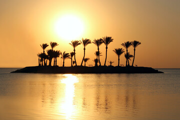 Fototapeta na wymiar Island with palm trees in ocean. Summer vacation away from coronavirus