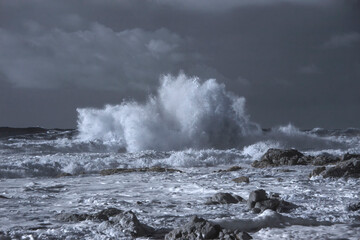 Rocky beach in winter