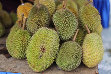durian fruit