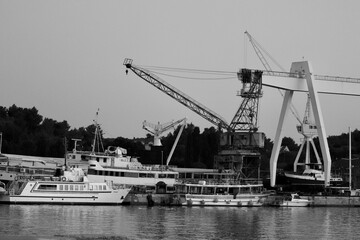 Fototapeta premium cranes in port