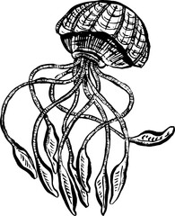 Line Art Cartoon Jellyfish Octopus Deep Sea Creatures Vector