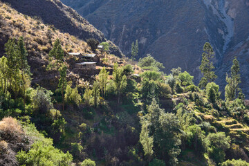 A view of  Llatica village in the Colca Canyon, Cabanaconde, Peru